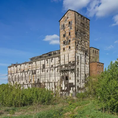 Abandoned wooden grain elevator and mill buildings
