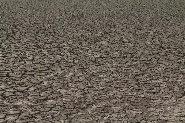 Dry, arid ground