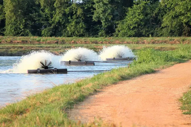 Paddlewheel aerator on a catfish farm pond