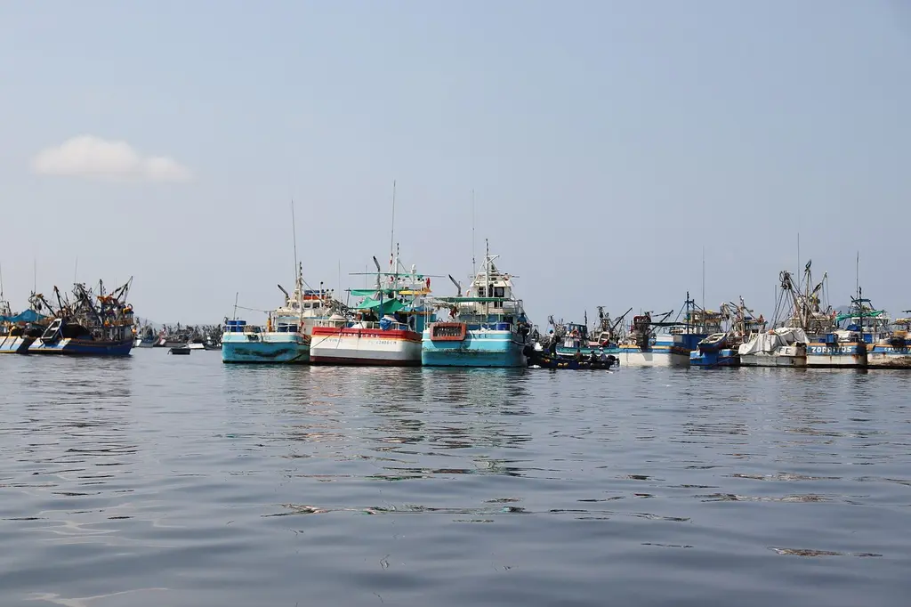 Fishing boats in Bahía El Ferrol, Chimbote, Peru