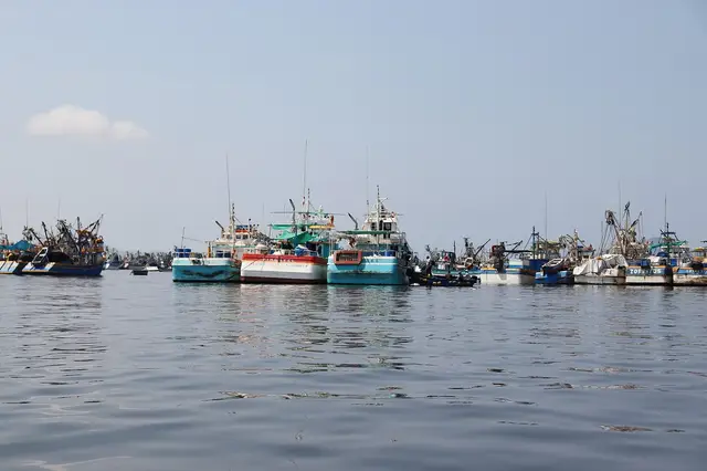Fishing boats in Bahía El Ferrol, Chimbote, Peru