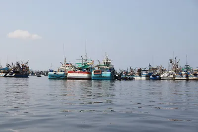 Fishing boats in Bahía El Ferrol, Chimbote, Peru