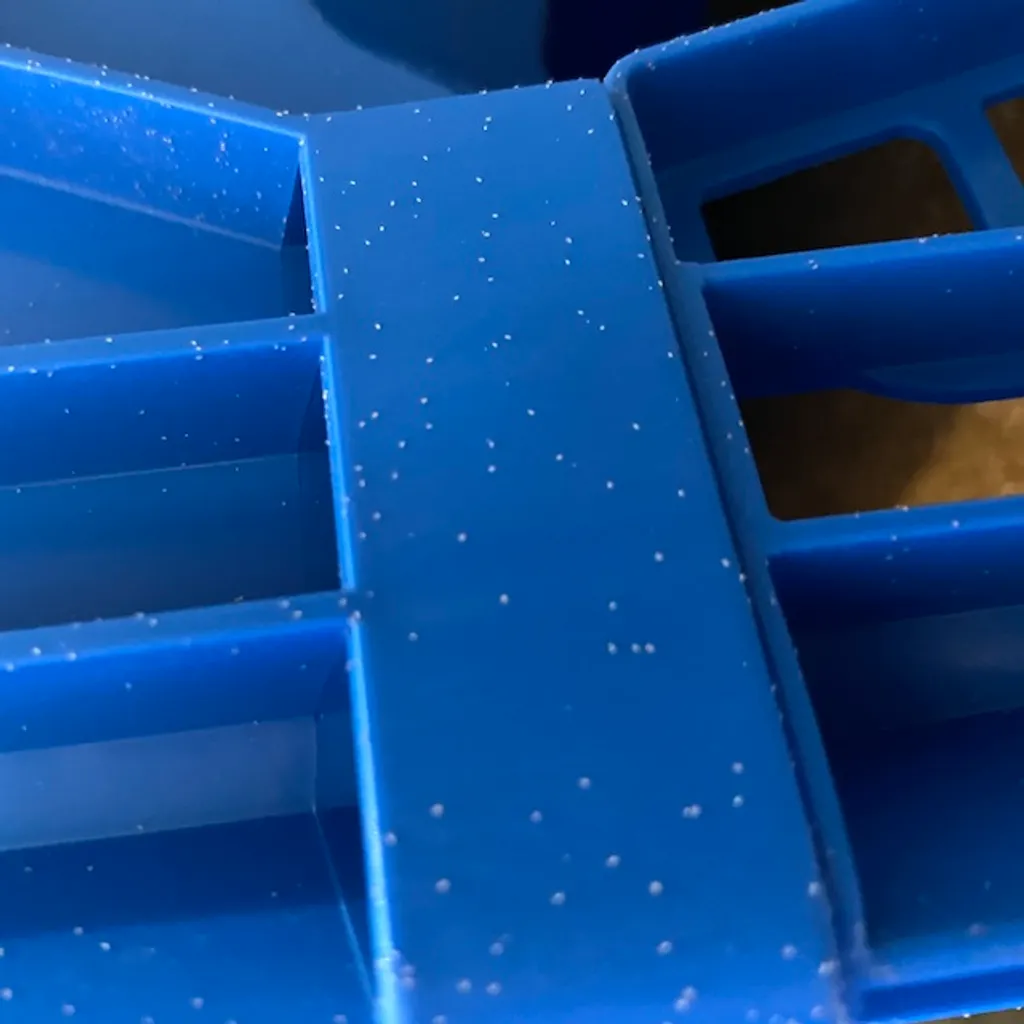 Pest Control in Black Soldier Fly Farms