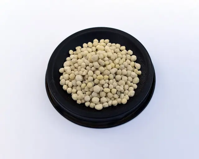 Granules of diammonium phosphate fertilizer