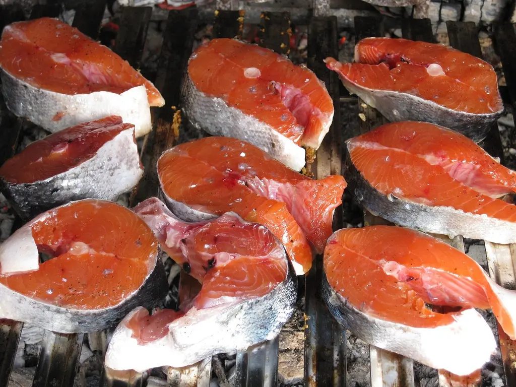 Raw salmon fillets